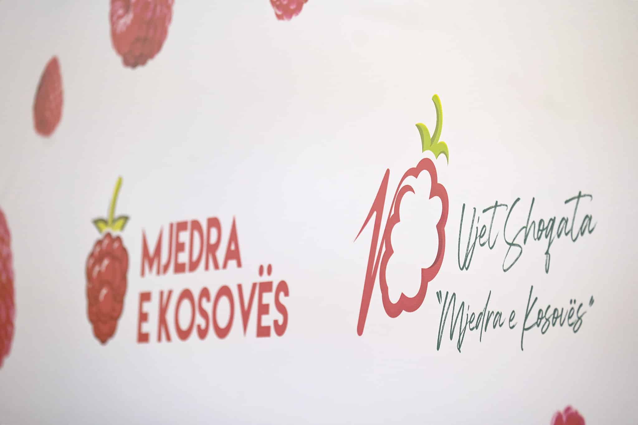 Kryeministri Kurti mori pjesë në Konferencën e 10-të të Mjedrës në Kosovë